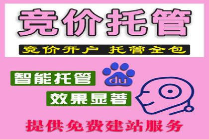 百度推广全攻略：成功案例剖析